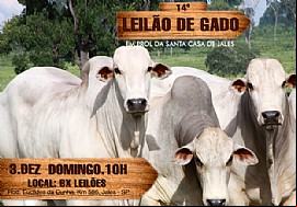 14º Leilão de Gado em prol a Santa Casa de Jales já está nos preparativos para o dia 03 de dezembro
